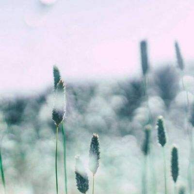 B体育·(sports)官方网站